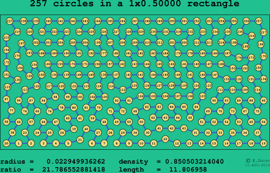 257 circles in a rectangle