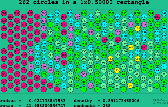 262 circles in a rectangle