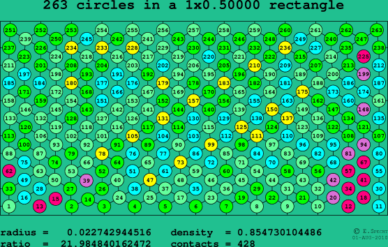 263 circles in a rectangle