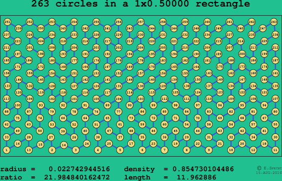 263 circles in a rectangle