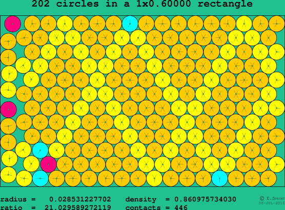 202 circles in a rectangle