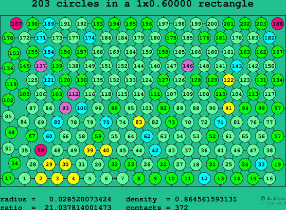 203 circles in a rectangle