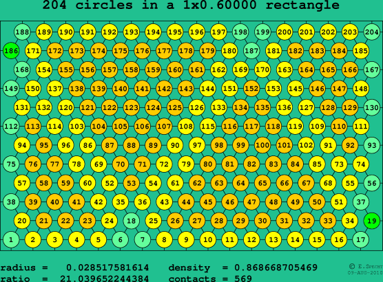 204 circles in a rectangle