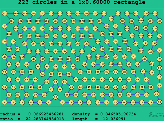 223 circles in a rectangle