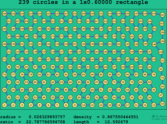 239 circles in a rectangle