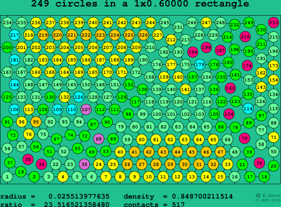 249 circles in a rectangle