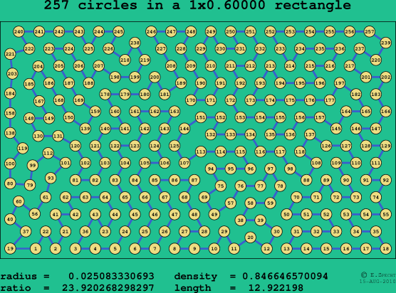257 circles in a rectangle