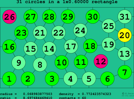 31 circles in a rectangle