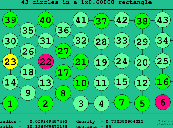 43 circles in a rectangle
