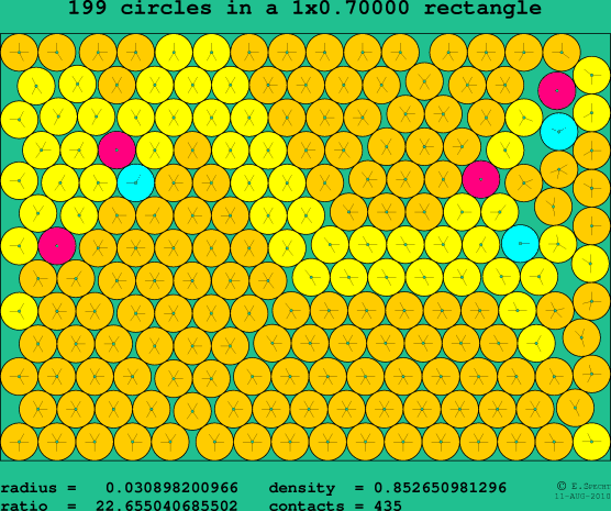 199 circles in a rectangle