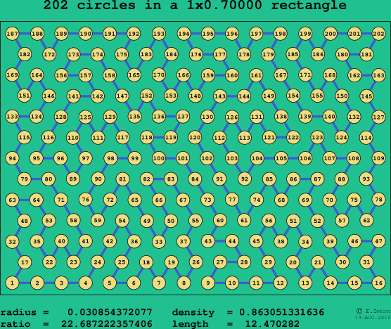 202 circles in a rectangle