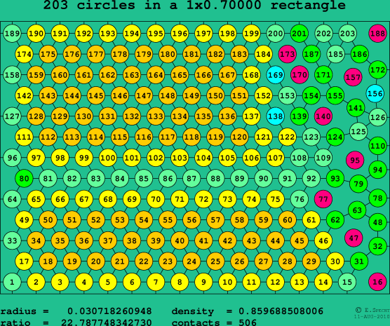 203 circles in a rectangle