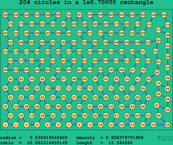204 circles in a rectangle