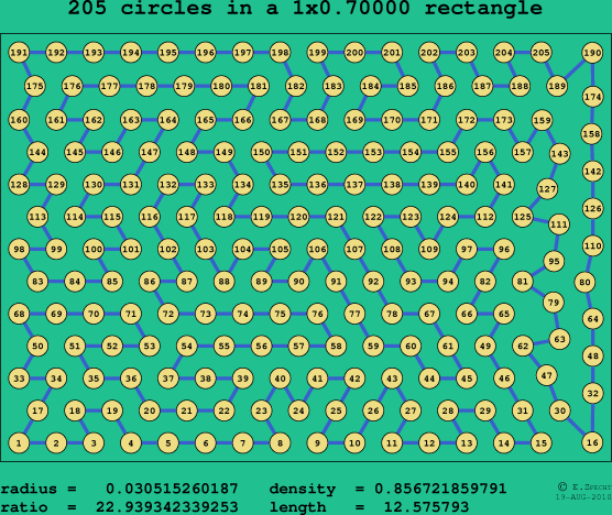 205 circles in a rectangle