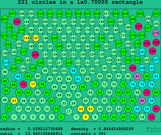 221 circles in a rectangle
