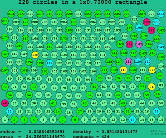 228 circles in a rectangle
