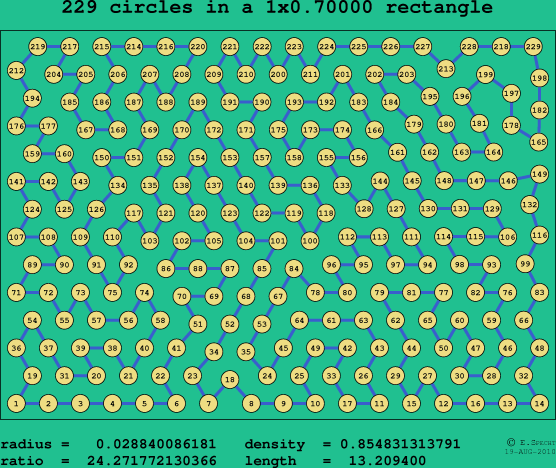 229 circles in a rectangle