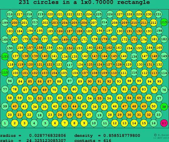 231 circles in a rectangle