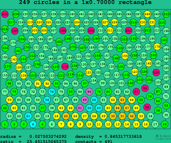 249 circles in a rectangle