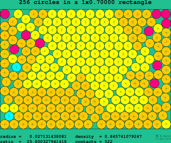 256 circles in a rectangle