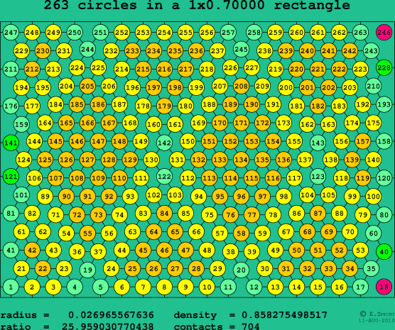 263 circles in a rectangle