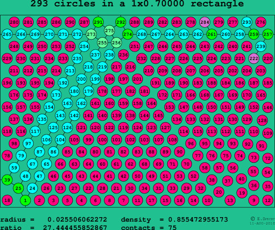 293 circles in a rectangle