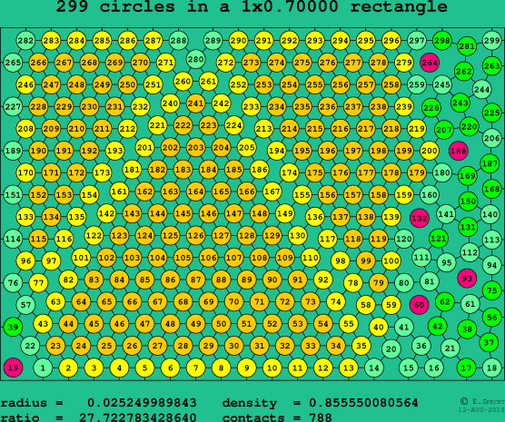 299 circles in a rectangle