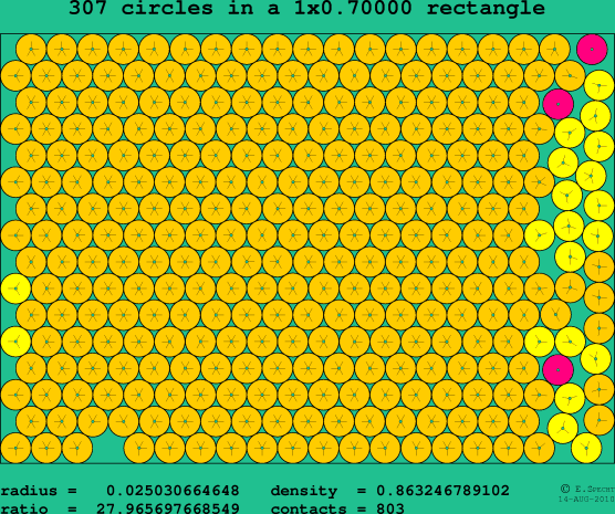 307 circles in a rectangle