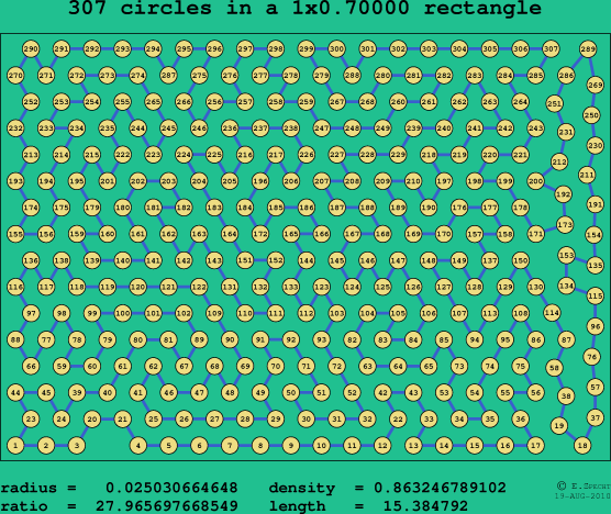 307 circles in a rectangle