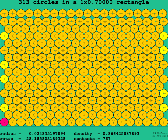 313 circles in a rectangle