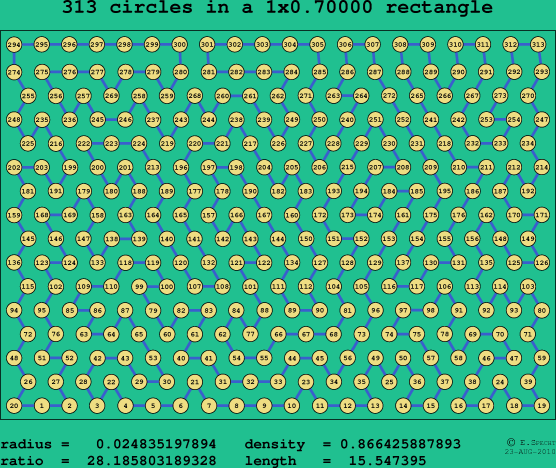 313 circles in a rectangle