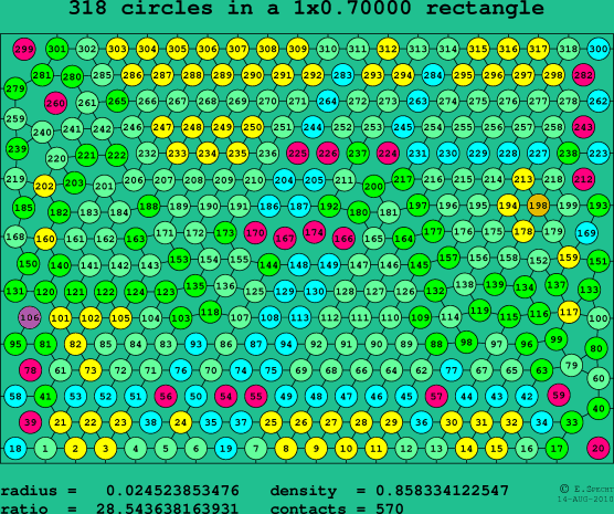 318 circles in a rectangle