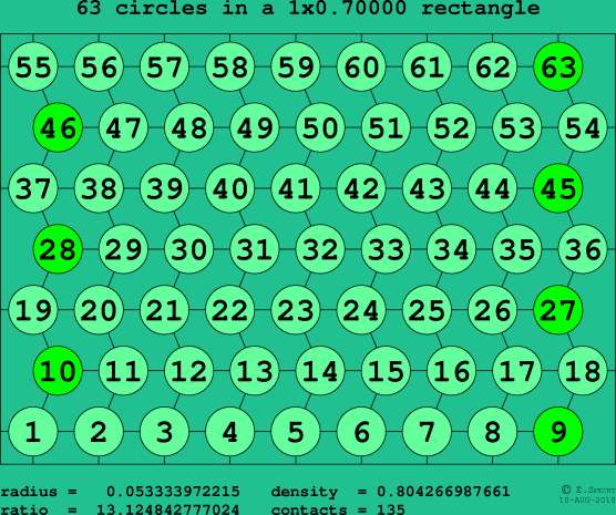 63 circles in a rectangle