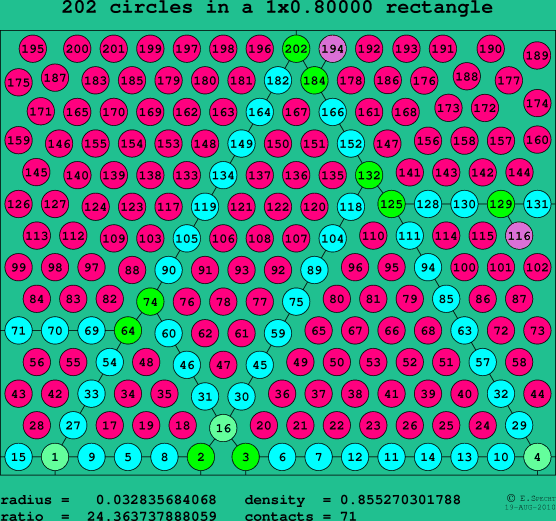 202 circles in a rectangle