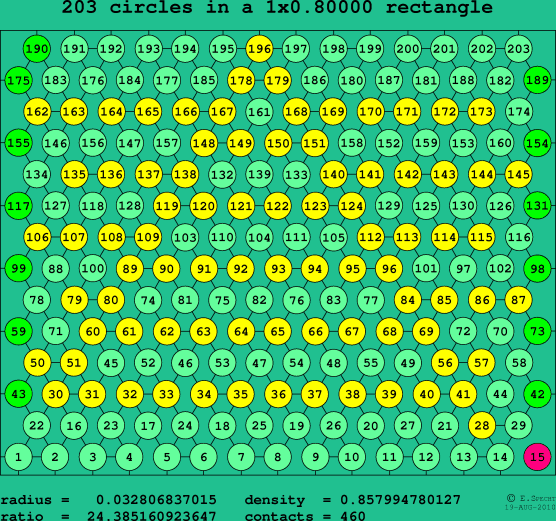 203 circles in a rectangle