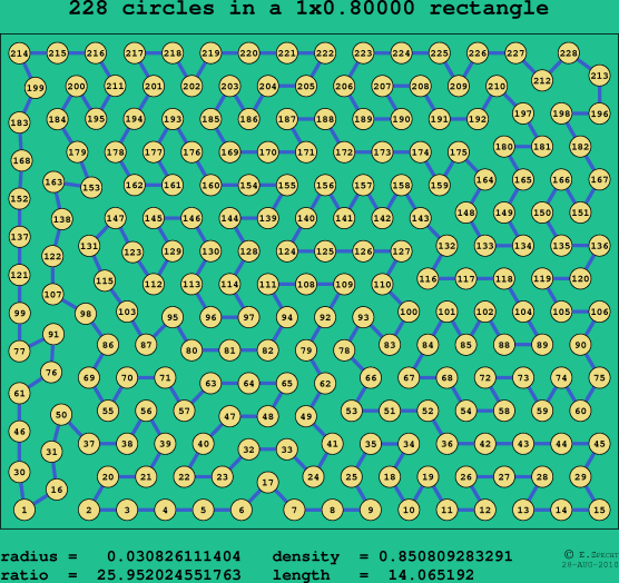 228 circles in a rectangle