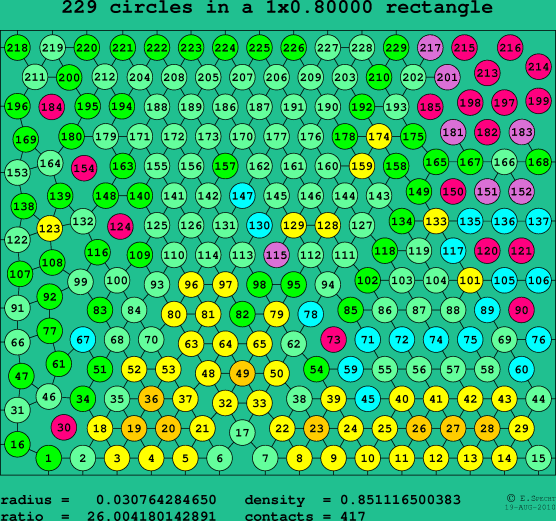229 circles in a rectangle