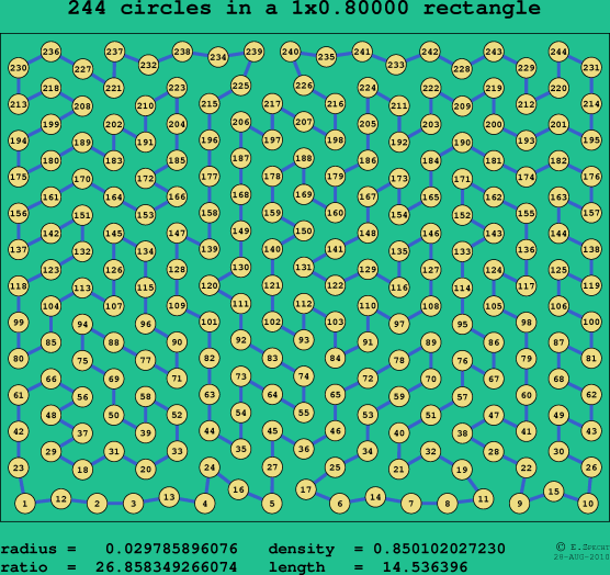 244 circles in a rectangle
