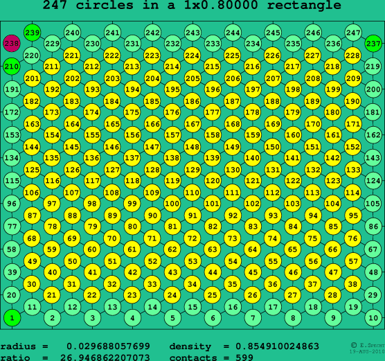 247 circles in a rectangle