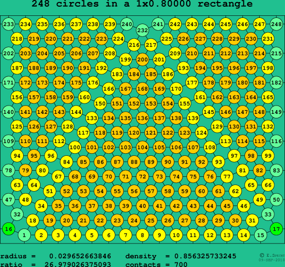 248 circles in a rectangle