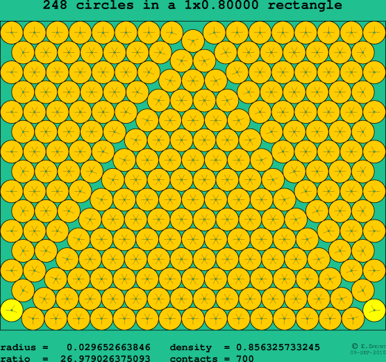 248 circles in a rectangle