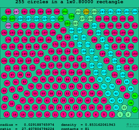 255 circles in a rectangle