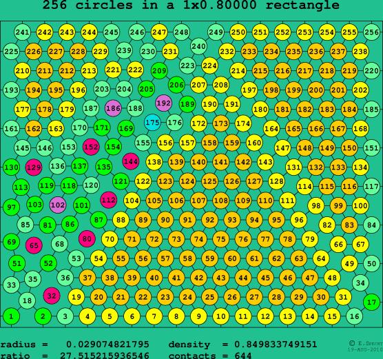 256 circles in a rectangle