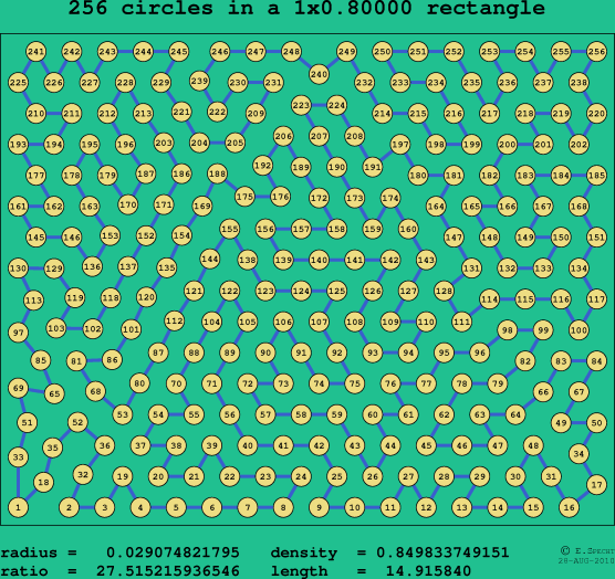 256 circles in a rectangle