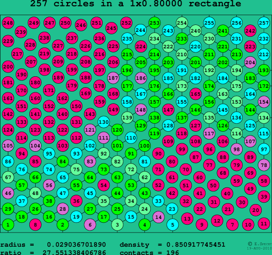 257 circles in a rectangle