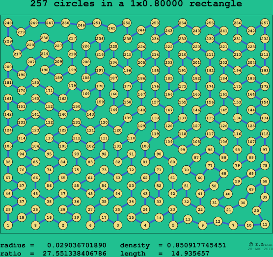 257 circles in a rectangle