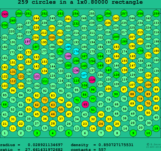 259 circles in a rectangle