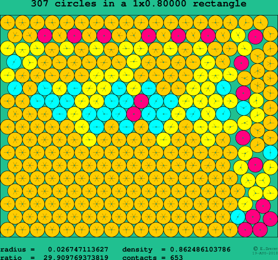307 circles in a rectangle