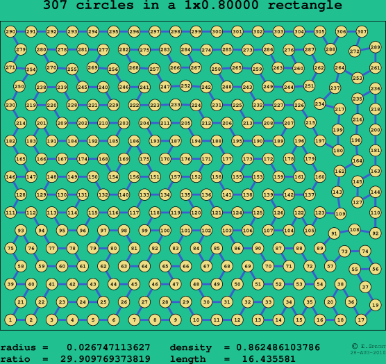 307 circles in a rectangle