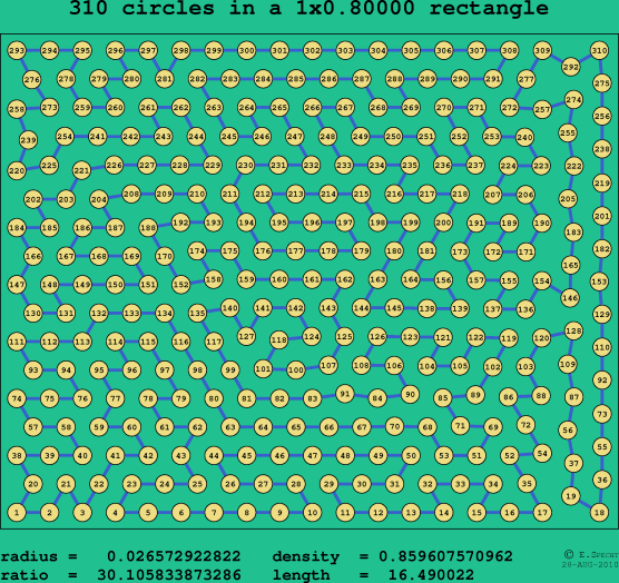310 circles in a rectangle
